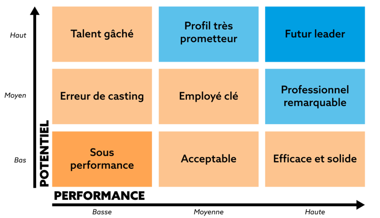 ninebox proposée par le logiciel skeely